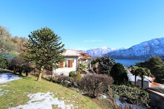 Villa with lake view in Tremezzina - dominant position