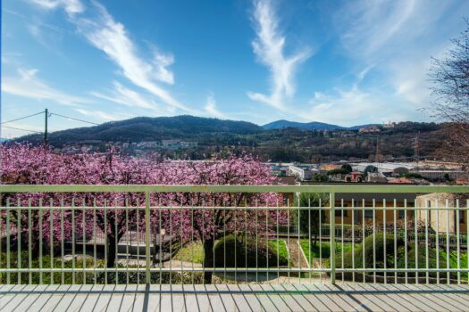 Apartment with garden in Cernobbio