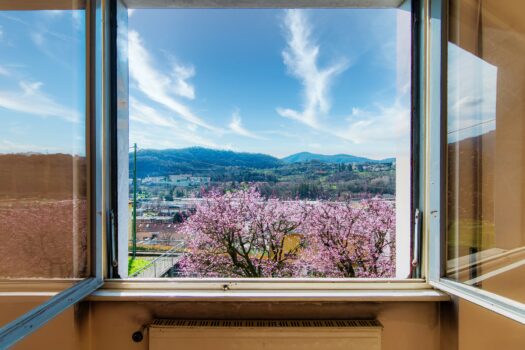 Apartment with garden in Cernobbio