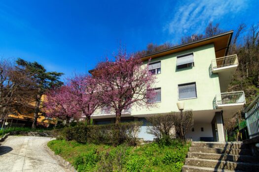 Apartment with garden in Cernobbio