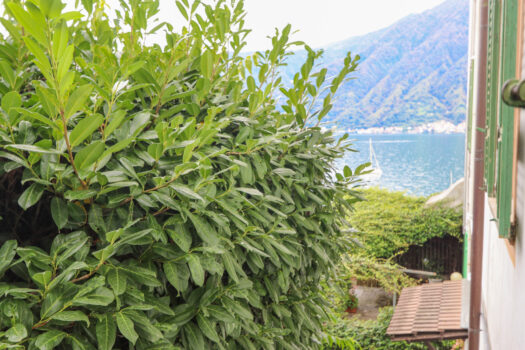 Apartment in the centre of Sala Comacina – Lake view