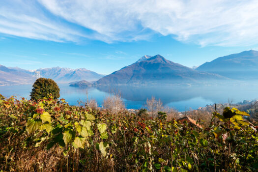 Building land in Pianello del Lario – stunning lake view