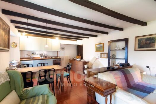 Old lake house with garden in Moltrasio