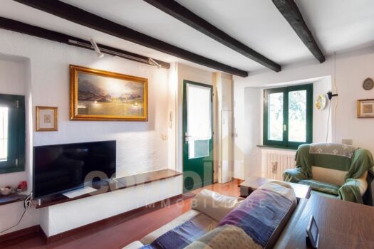 Old lake house with garden in Moltrasio