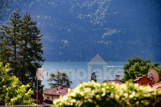 Apartment with garden and lake view