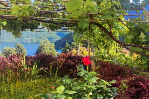 Large apartment in Tremezzina – stunning lake view