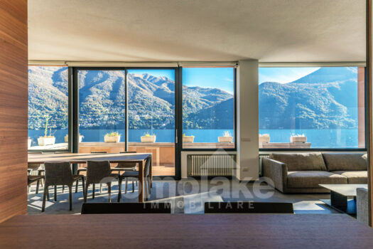 Modern lakefront villa with a large garden