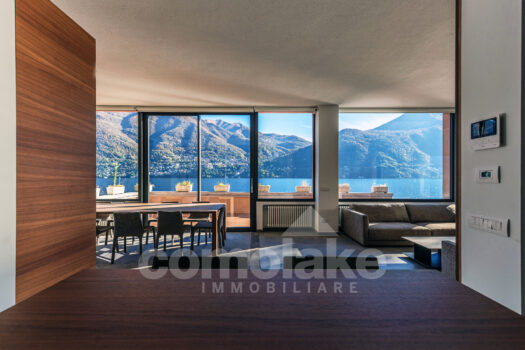 Modern lakefront villa with a large garden