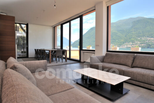Modern lakefront villa with a large garden