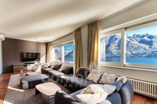 Modern lakefront villa with a large garden