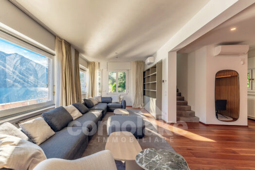 Modern lakefront villa with a large garden