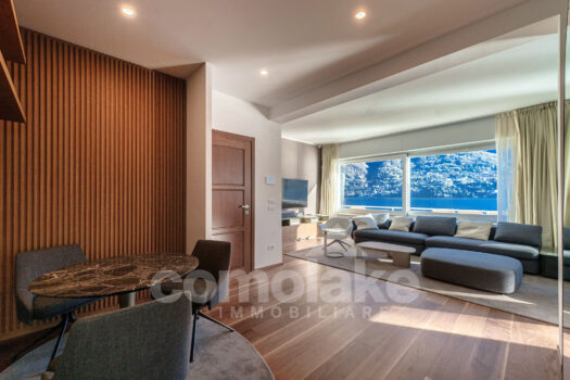 Modern lakefront villa with a large garden