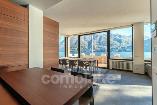 Modern lakefront villa with a large garden