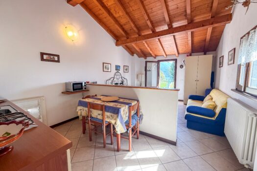 House with garden in San Siro – lake view