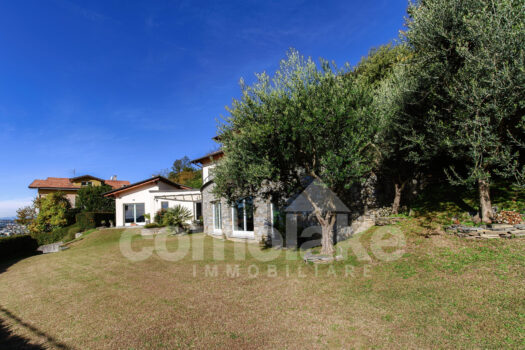 Modern villa with garden and lake view