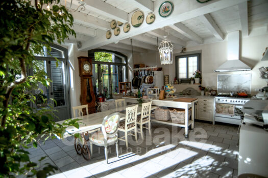 Villa facing the lake with private boathouse in Moltrasio