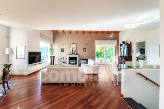 Modern villa with garden and lake view