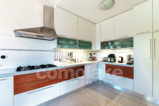 Modern villa with garden and lake view