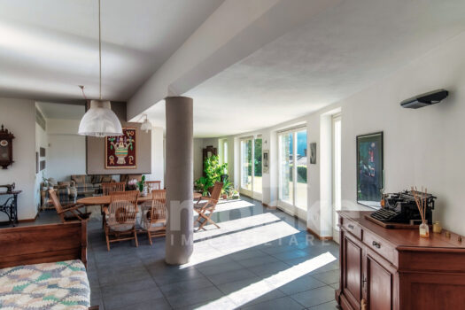 Modern villa with garden and lake view