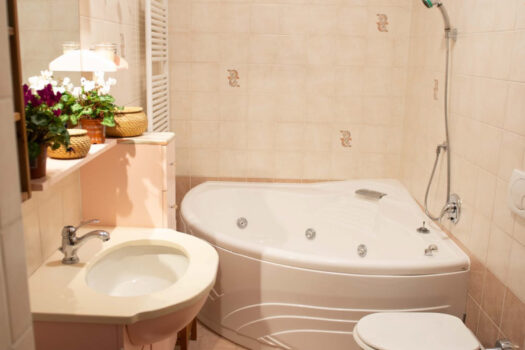 Large apartment in Pianello del Lario – lake view