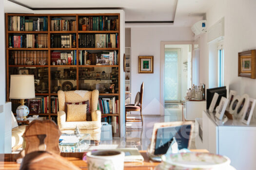 Modern villa with lake view