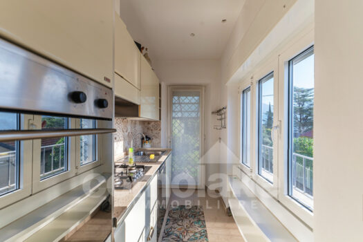 Modern villa with lake view