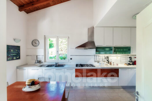 Modern villa with garden and lake view in Cernobbio