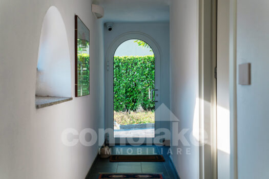 Modern villa with lake view