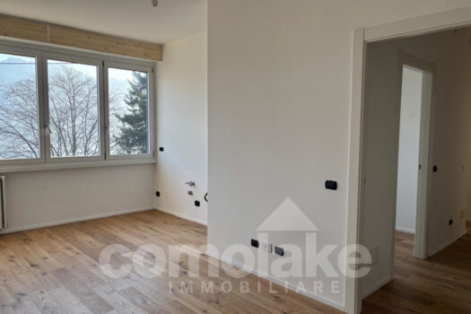 Apartment with terrace overlooking the lake in Como