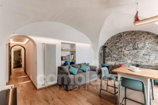 Historic house directly on the lake with terrace in Brienno