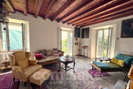 Old house with large garden in Cernobbio