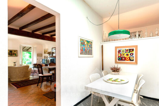 Apartment in historic house with terrace and garden in Moltrasio