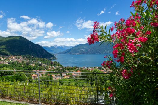 Prestigious panoramic apartment in Menaggio – with pool and sun deck