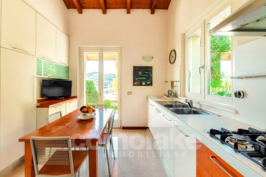 Modern villa with garden and lake view in Cernobbio