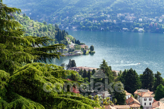 Modern apartment in a villa with garden in Cernobbio