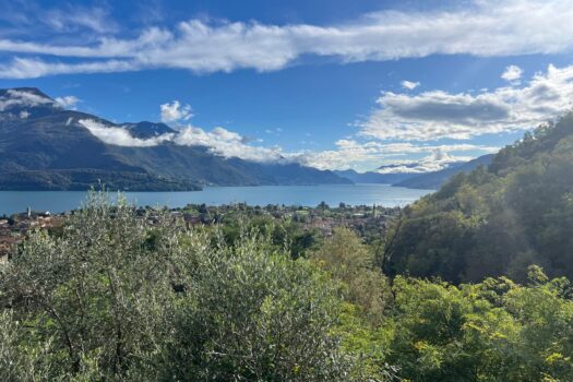 Terreno edificabile a Gravedona – vista lago stupenda