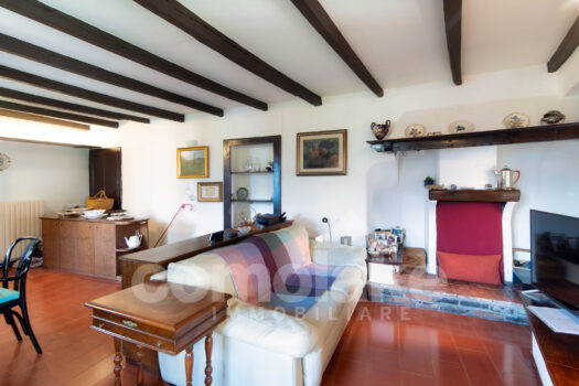 Antica casa di lago con giardino a Moltrasio