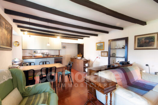 Antica casa di lago con giardino a Moltrasio