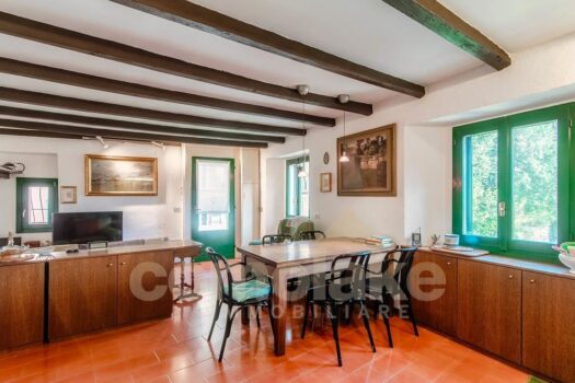 Antica casa di lago con giardino a Moltrasio