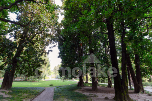 Attico in villa d’epoca a lago